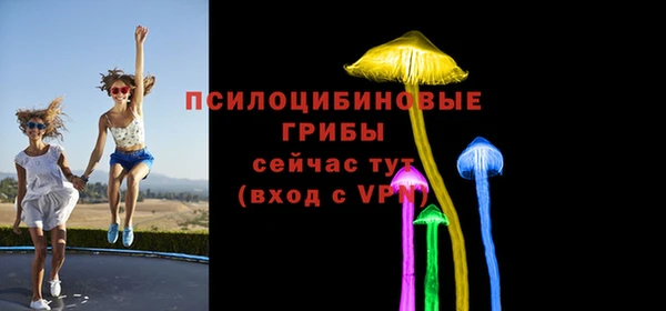 мдма Богданович