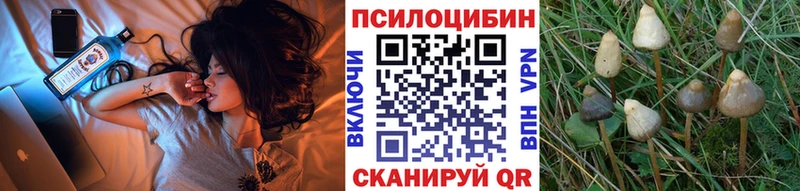 Купить Лихославль Галлюциногенные грибы MAGIC MUSHROOMS